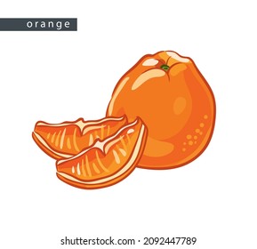 sketch oranges: two slices and one whole fruit 
on a white background, isolated vector drawing
