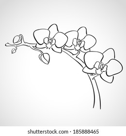 Sketch orchid branch, hand drawn, ink style