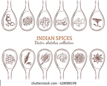 Sketch organic indian spices set with natural seasonings and condiments on spoons isolated vector illustration