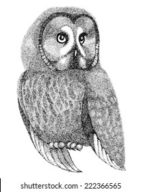 sketch owl drawn with pen and ink in a graphic style drawing points and lines. Beautiful figure for a tattoo