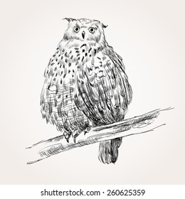 Sketch of owl on a beige  background