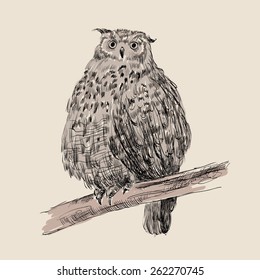 Sketch of owl on a beige  background