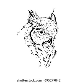 Sketch owl on the white background. Vector illustration