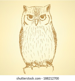 Sketch owl, vector vintage background