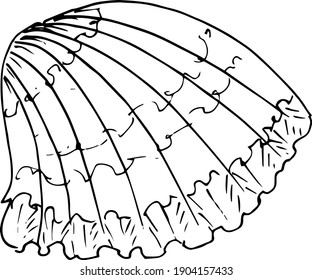 Sketch oyster . Hand drawing .Vector illustration