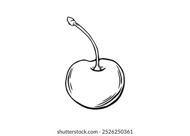 Boceto de un par de bayas de cereza, grabado. línea de arte en blanco y negro . Vector de frutas aislado sobre fondo blanco 