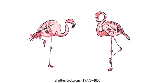 Sketch pair of pink flamingo bird. Bright cartoon tropical bird flamingo isolated on white background. Trendy summer design. Vector illustration