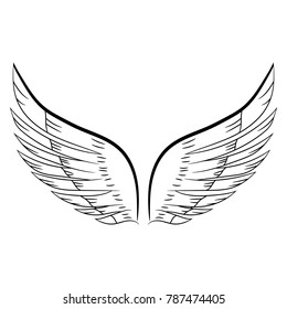 sketch of a pair of white wings. Vector illustration. Hand drawing
