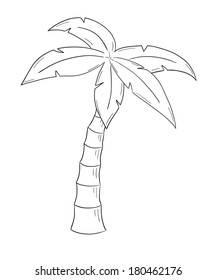 Featured image of post Cartoon Palm Tree Drawing Easy