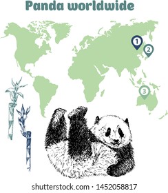 Sketch Panda with green bamboo on earth world map infographic vector illustration. Engrave ink drawn panda. Hand drawn panda bear in world. 