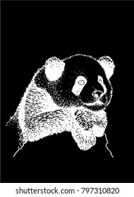 Sketch of panda isolated on black background,vector illustration