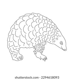 Esbozo de Pangolin. Ilustración vectorial dibujada a mano.