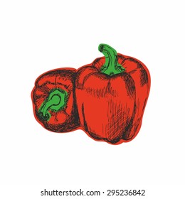 Sketch of paprika. Original vector illustration.