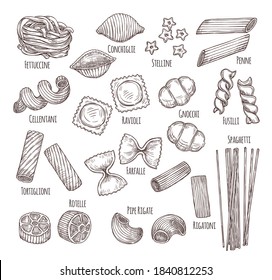 Sketch pasta. Hand drawn italian menu, authentic restaurant food types. Isolated sketch penne fusilli fettuccine, dish ingredient vector set