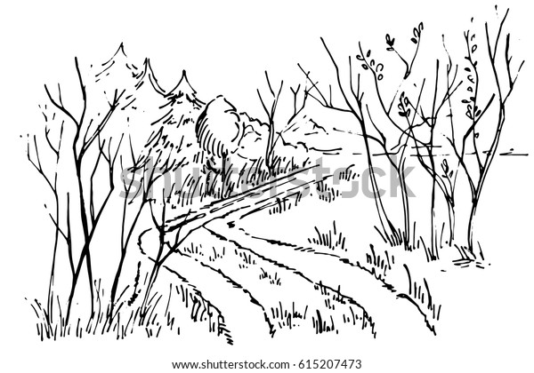 Sketch Path Forest Hand Drawn Ink Stock Vector Royalty Free