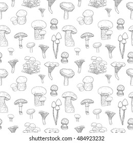sketch pattern with mushrooms, nature illustration with line fun