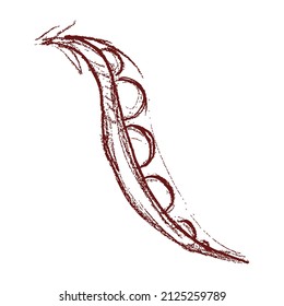 Esbozar guisantes. Verduras en un fondo blanco. Gráficos vectoriales.