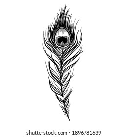 Sketch peacock feather isolated on white, boho style vector illustration.