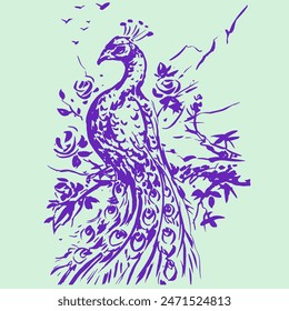 Sketch of peacock vector for illustration, card, decoration