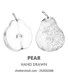 Sketch of pear. Hand drawn vector illustration. Fruit collection.