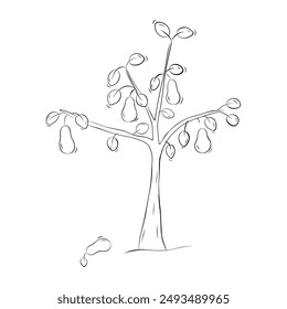 Sketch of a pear tree. Simple vector illustration in doodle style