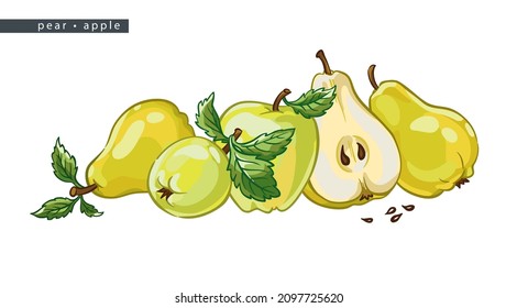sketch pears and apples: four whole fruits, half and leaves 
on a white background, isolated vector drawing