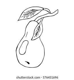Sketch pears with leaves, branches and light. Icon. A child's drawing of a pear. Vector isolated image for video, mobile applications, web sites and print projects.