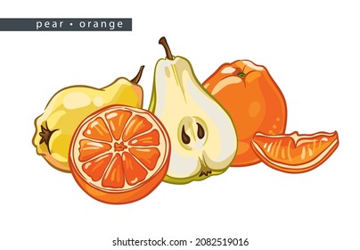 sketch pears and oranges: two whole fruits, two halves and a slice 
on a white background, isolated vector drawing