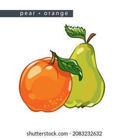 sketch pears and oranges: two whole fruits 
on a white background, isolated vector drawing