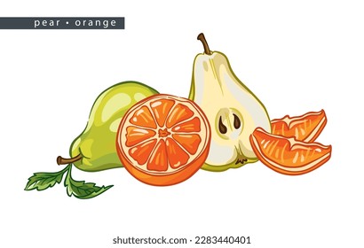 sketch pears and oranges: whole fruit, two halves and two slices 
on a white background, isolated vector drawing
