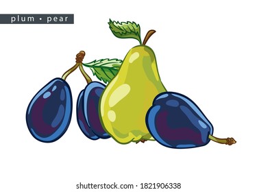 bocetos de peras y ciruelas: cuatro frutos enteros
