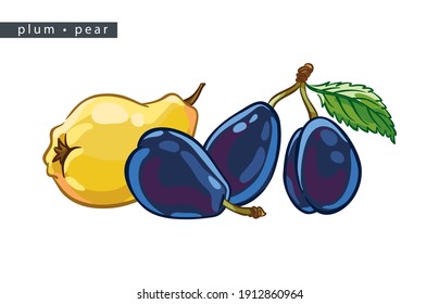 sketch pears and plums: 
one yellow pear and three plums