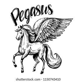 Sketch of Pegasus. Hand drawn illustration converted to vector