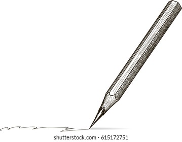 Sketch pencil. vector