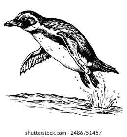 Sketch of a penguin sliding on its belly, side view, on a white background