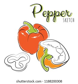 Sketch peppers. Vector paint hand drawn composition with sweet peppers in cartoon style. Isolated on white background.