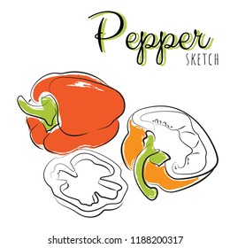 Sketch peppers. Vector paint hand drawn composition with sweet peppers in cartoon style. Isolated on white background.