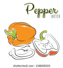 Sketch peppers. Vector paint hand drawn composition with sweet peppers in cartoon style. Isolated on white background.