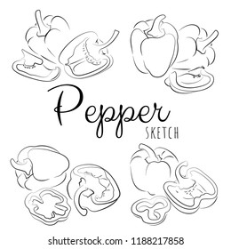 Sketch with peppers. Vector paint hand drawn composition with sweet peppers in cartoon style. Isolated on white background.