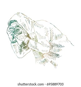 Sketch of Photographer 