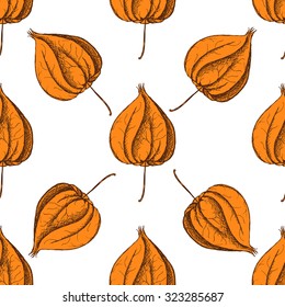 Sketch physalis in vintage style, vector seamless pattern