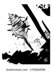 sketch picture set of isolated elements abstract spots blots of black on white and black seashell, sketch, hand drawn ink vector illustration
