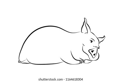 sketch of pig