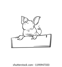 sketch of pig. 