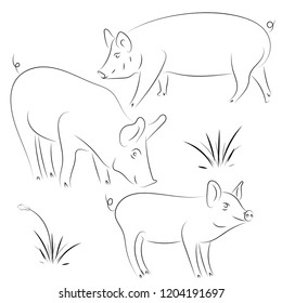 Sketch of pig. Drawing pig and pork. Pig symbol, logo, icon, Contour Design.