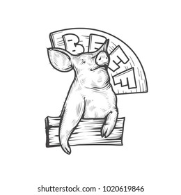 sketch of pig. engraved pig. 