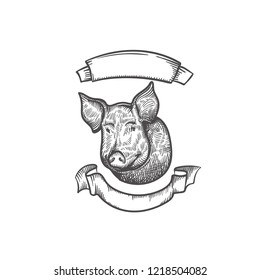 sketch of pig. engraved pig. chinese symbol of 2019 year.