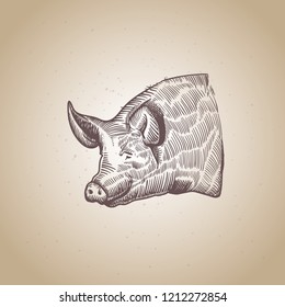 sketch of pig. engraved pig. line fat pig. 
Chinese calendar. symbol of 2019