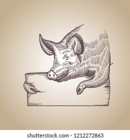 sketch of pig. engraved pig. line fat pig. 
Chinese calendar. symbol of 2019