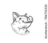 sketch of pig. engraved pig and pork